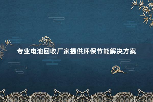 专业电池回收厂家提供环保节能解决方案