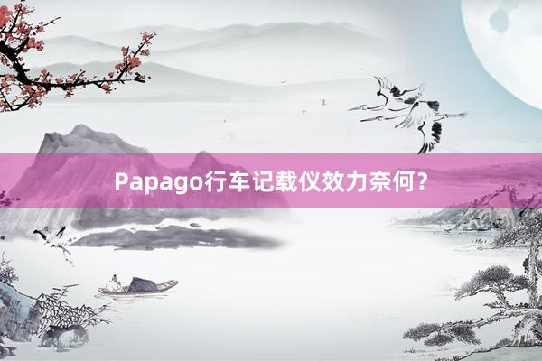 Papago行车记载仪效力奈何？